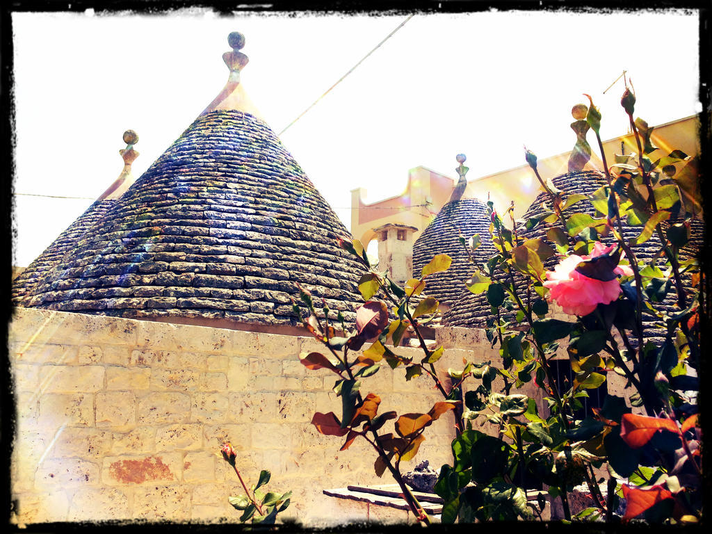 Dimora Matarrese B&B Trulli Alberobello Extérieur photo